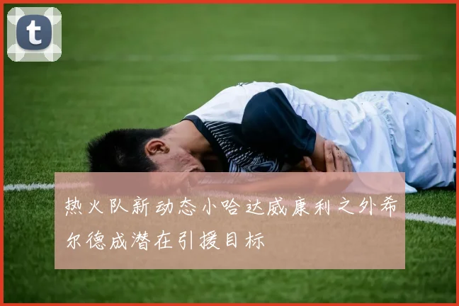 热火队新动态小哈达威康利之外希尔德成潜在引援目标
