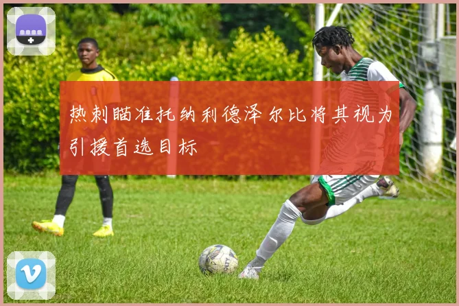 热刺瞄准托纳利德泽尔比将其视为引援首选目标